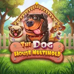 The Dog House Multihold game at Betzillo Casino for Australian players The Dog House Multihold game at Betzillo Casino for Australian players